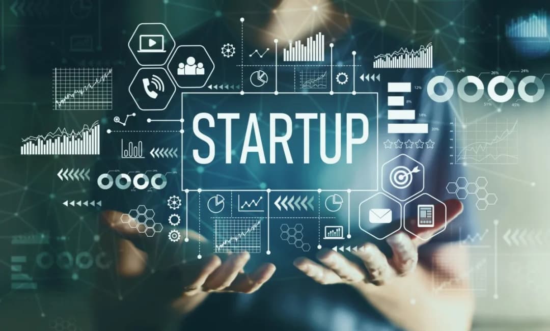 IT Startup